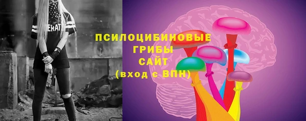 спиды Аркадак