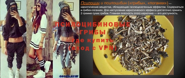 спиды Аркадак