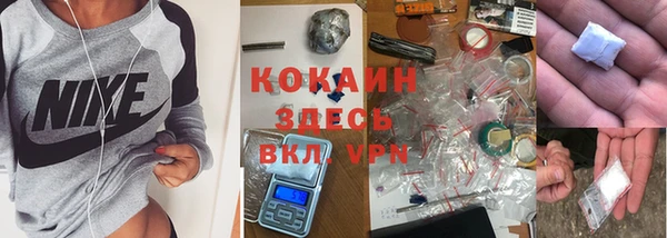 спиды Аркадак