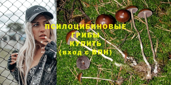 спиды Аркадак