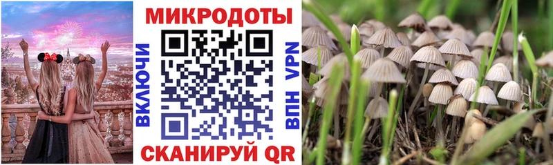 Псилоцибиновые грибы Psilocybe  купить наркотики цена  Ливны 