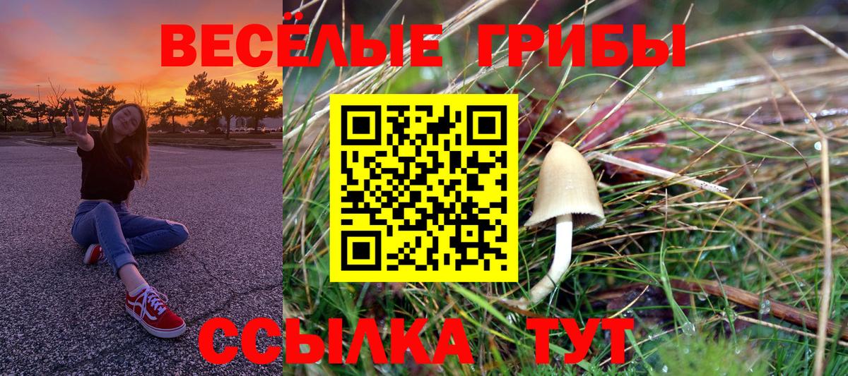 Псилоцибиновые грибы ЛСД  Вход с VPN  Ливны  Псилоцибиновые грибы мухоморы 